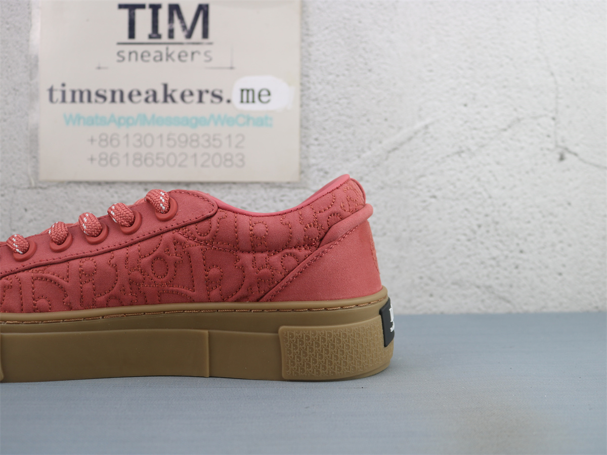 Stone Island x Dior B33 Skateboard Shoes Low-Top Red